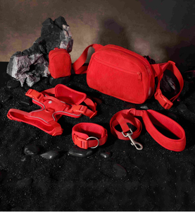 Set di guinzagli per collare per cani sportivi da esterno in rete di velluto a coste con borsa da passeggio - Pacchetto da 5 pezzi | 8 colori, OEM da 20 pezzi