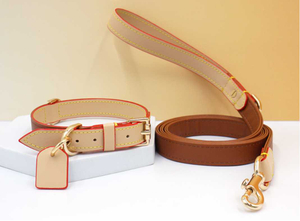 Zweifarbiges Leder-Hundehalsband- und Leine-Set im Louis-Stil – 3-teiliges Luxus-Geschenkpaket | Kantenbemalt | Doppelter D-Ring | OEM 20 Stk