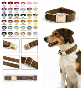 Samt-Hundehalsband – eigenst&auml;ndiges Einzelhalsband | 36 Farben, 5 Gr&ouml;&szlig;en XS–XL, OEM ab 20 Stk