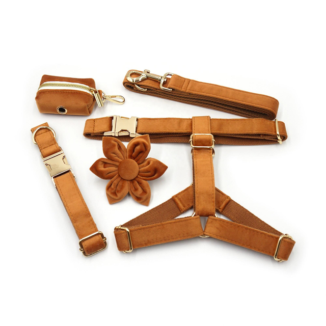 Orange velvet dog collar leash and harness 6-piece set with gold zinc alloy quick-release buckle