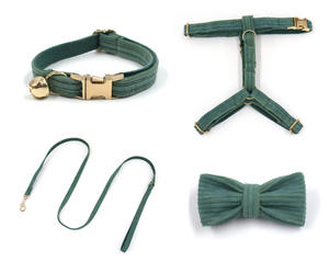 Set aus Cord-Katzenhalsband, Geschirr, Leine und Fliege – 4-teiliges Set mit Gl&ouml;ckchen | 17 Farben, OEM ab 20 Stk