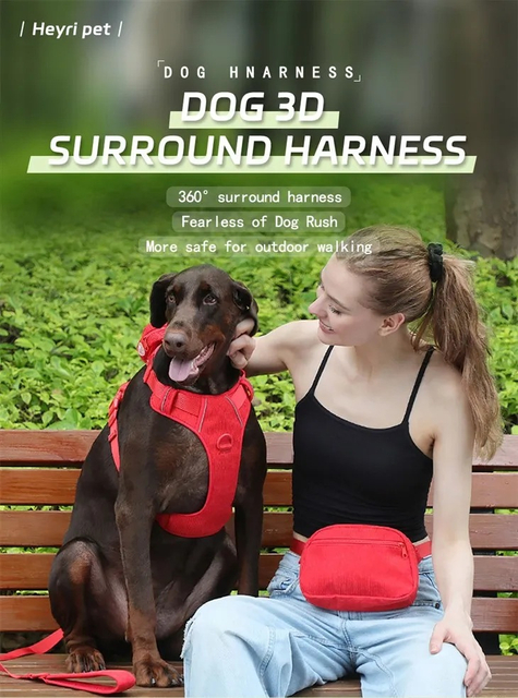 Corduroy Mesh Outdoor Sport Dog Harness Collar Leash Set with Walking Bag — 5-Piece Bundle | 8 Colors, OEM from 20 Pcs