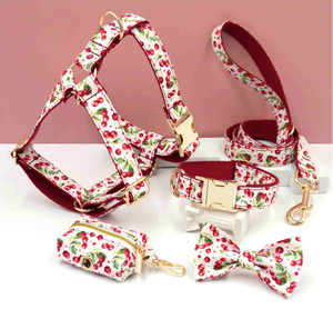 Ensemble laisse et harnais pour collier pour chien Fruits et fleurs — Ensemble printemps/&eacute;t&eacute; 6 pi&egrave;ces | 17 imprim&eacute;s floraux, conception brevet&eacute;e, OEM &agrave; partir de 20 pi&egrave;ces
