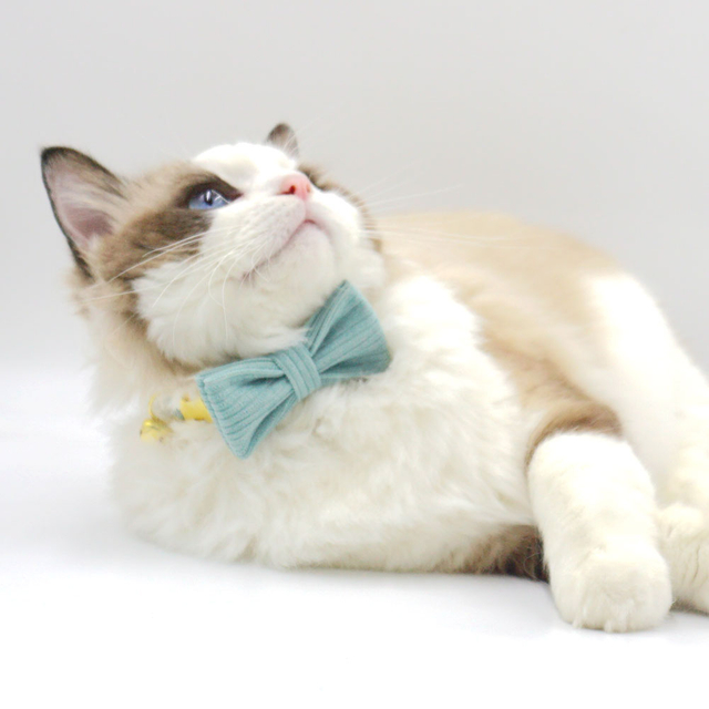 Corduroy Cat Bowtie — 17 Heritage Colors with 6 Factory-Exclusive Stripes, Built for the Coziest Cat Photo Moments